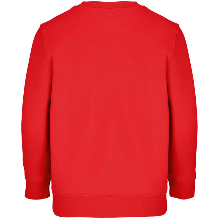 Свитшот детский Columbia Kids, красный арт.04239161