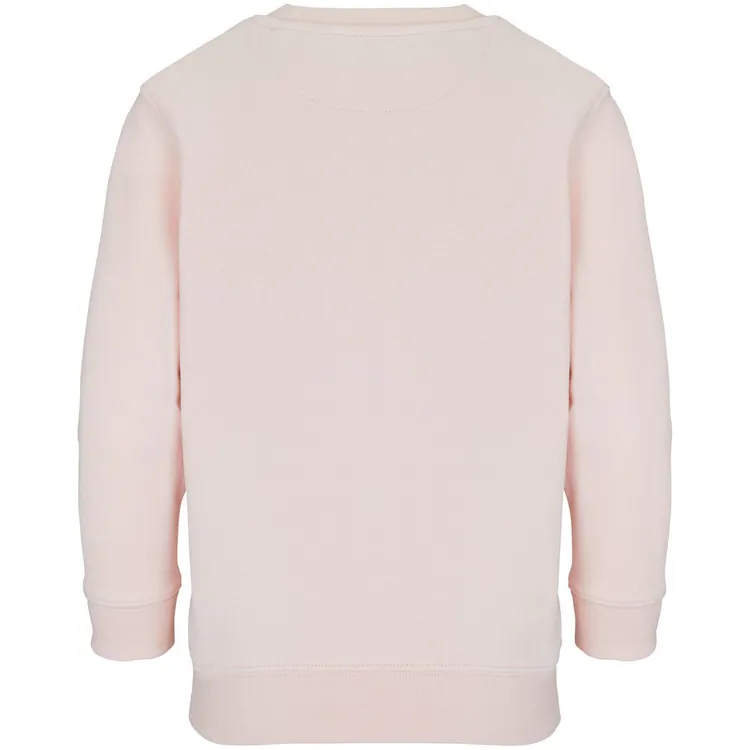Свитшот детский Columbia Kids, розовый арт.04239143