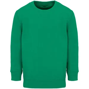 Свитшот детский Columbia Kids, ярко-зеленый арт.04239272