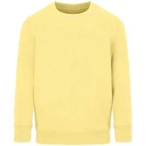 Свитшот детский Columbia Kids, светло-желтый арт.04239260