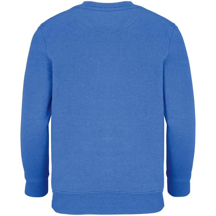 Свитшот детский Columbia Kids, ярко-синий (royal) арт.04239241