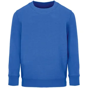 Свитшот детский Columbia Kids, ярко-синий (royal) арт.04239241