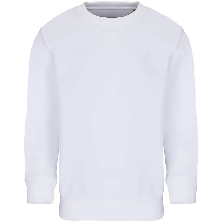 Свитшот детский Columbia Kids, белый арт.04239102
