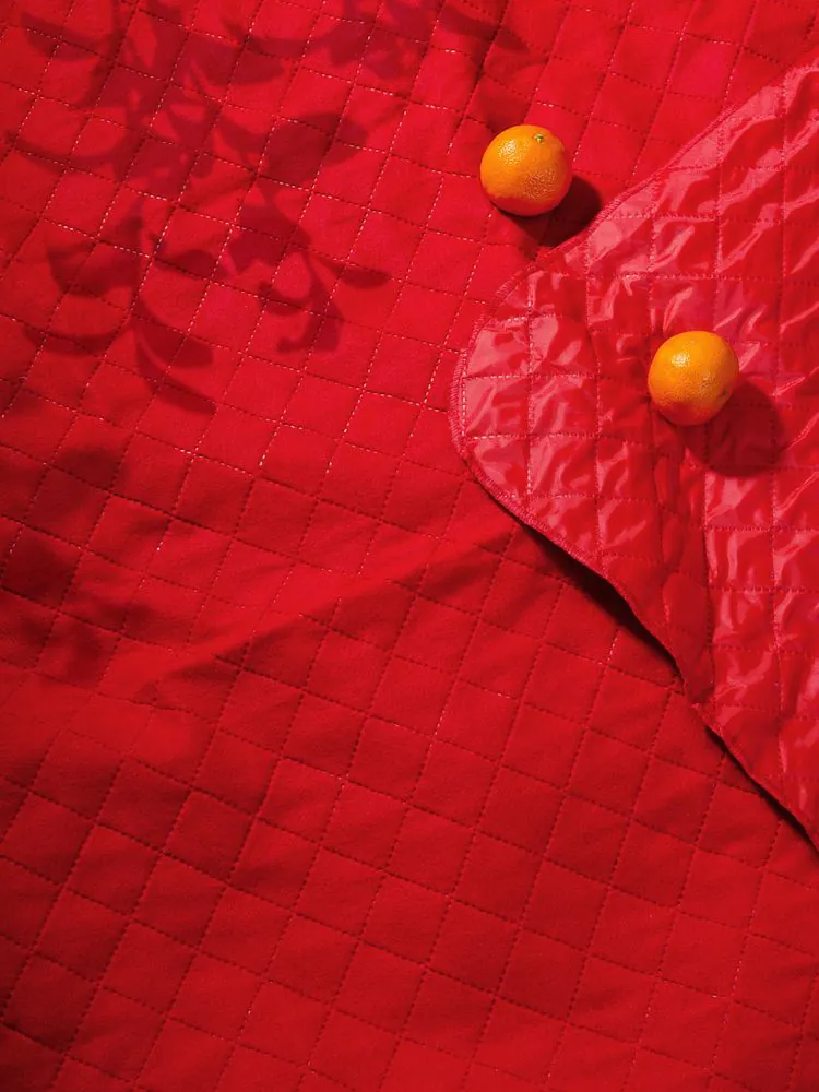 Плед для пикника Soft & Dry 2, красный арт.16579.50