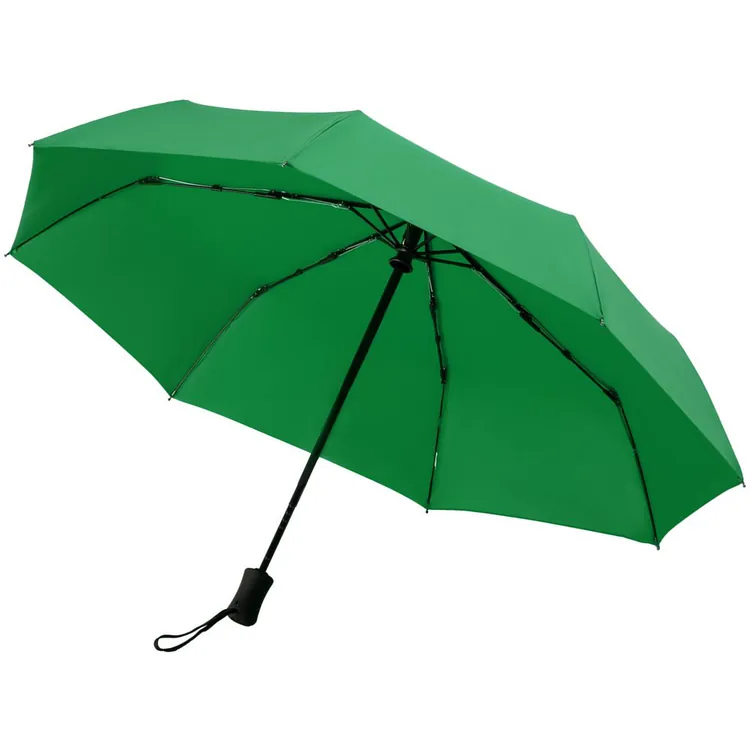 Зонт складной Monsoon, зеленый арт.14518.91