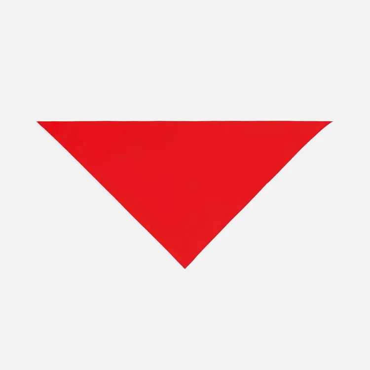 Шейный платок Bandana, красный арт.01198145TUN
