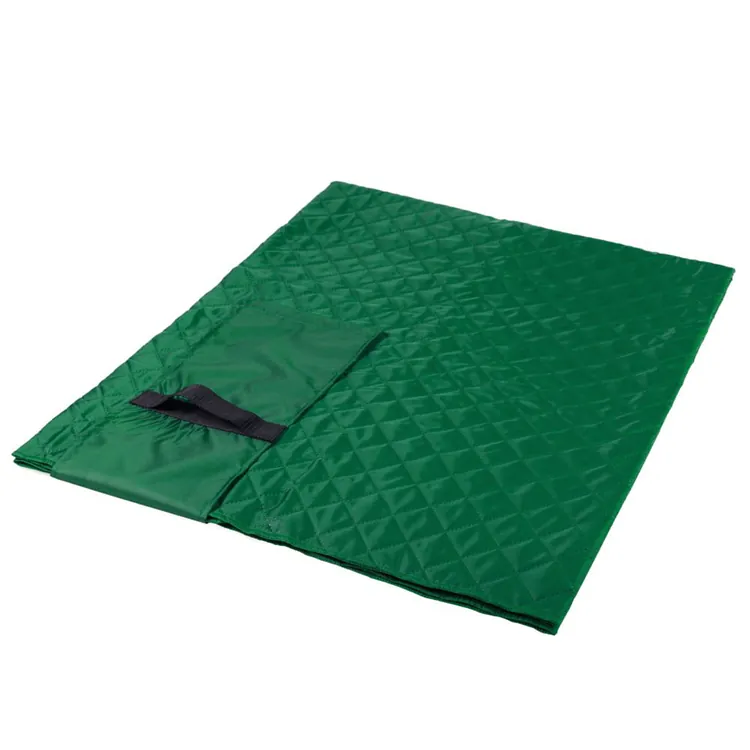 Плед для пикника Comfy, зеленый арт.3368.90