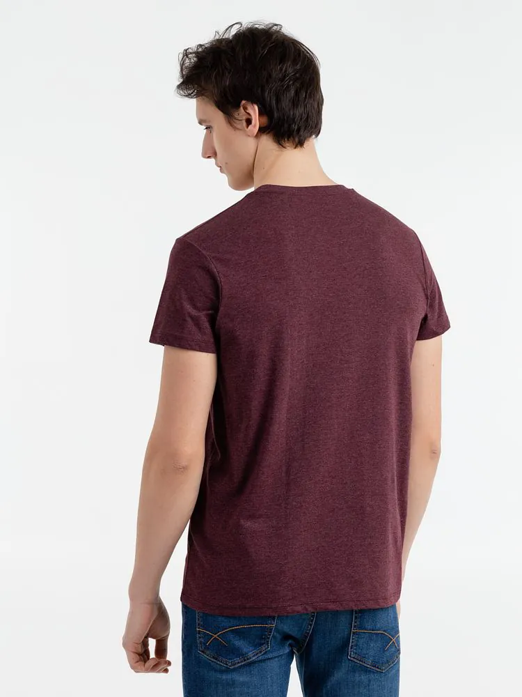 Футболка мужская Regent Fit 150, бордовый меланж арт.00553148