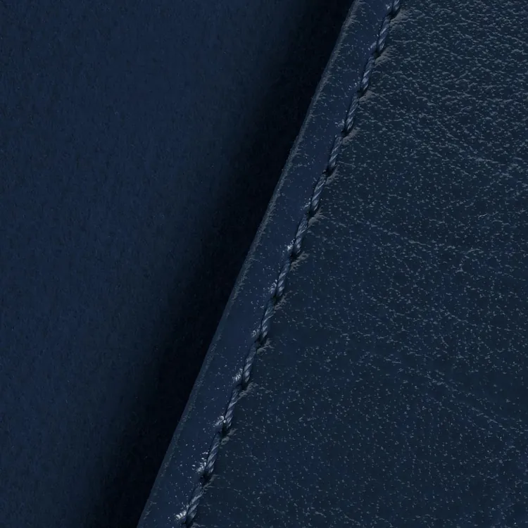 Обложка для паспорта Nebraska, синяя арт.12879.40