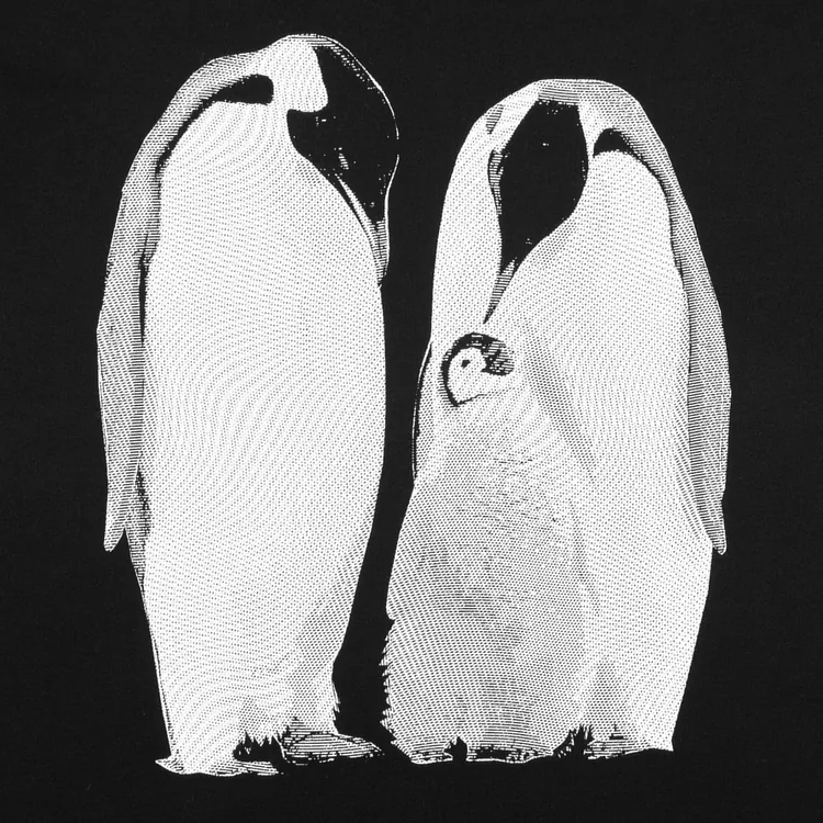 Футболка женская Like a Penguin, черная арт.71921.30