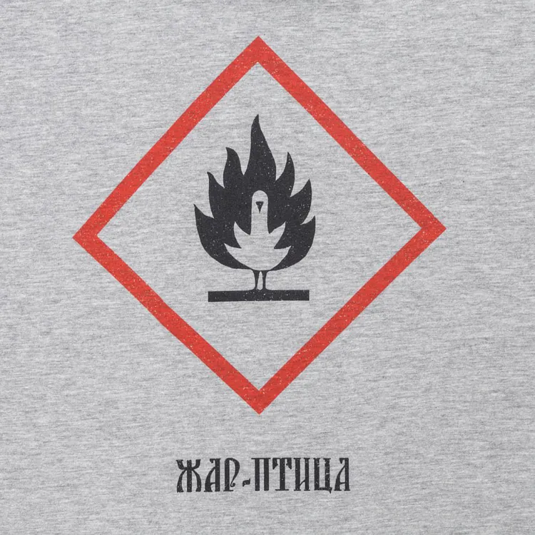Футболка &laquo;Жар-птица&raquo;, серый меланж арт.71008.11