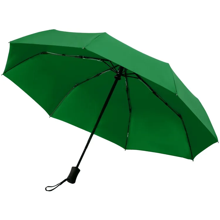 Зонт складной Monsoon, зеленый арт.14518.90