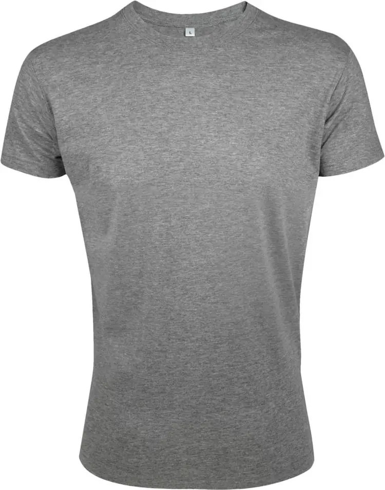 Футболка мужская Regent Fit 150, серый меланж арт.5973.10