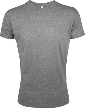 Футболка мужская Regent Fit 150, серый меланж арт.5973.10