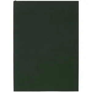 Ежедневник Flat Light, недатированный, зеленый арт.17876.90