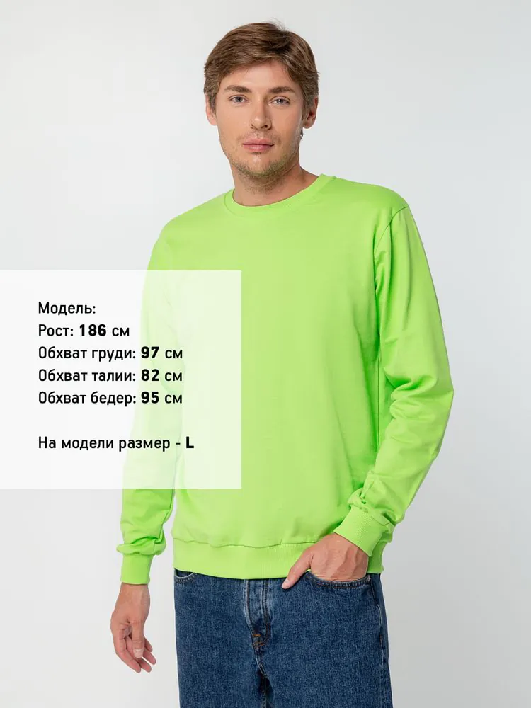 Свитшот Toima 2.0, зеленое яблоко арт.16214.94