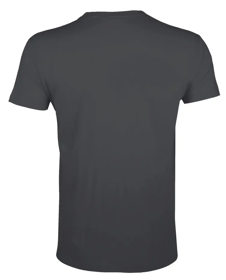 Футболка мужская Regent Fit 150, темно-серая арт.5973.12