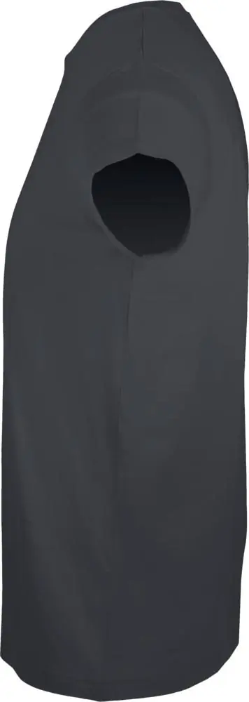 Футболка мужская Regent Fit 150, темно-серая арт.5973.12