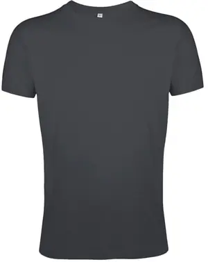 Футболка мужская Regent Fit 150, темно-серая арт.5973.12