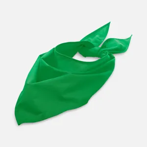 Шейный платок Bandana, ярко-зеленый арт.01198272TUN